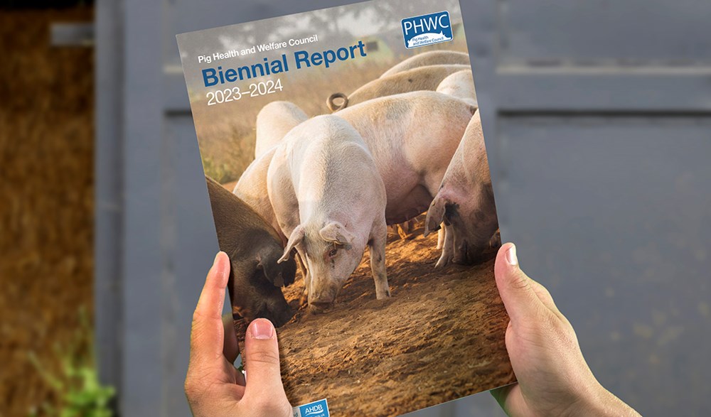 PHWC report 2023-2024 front cover